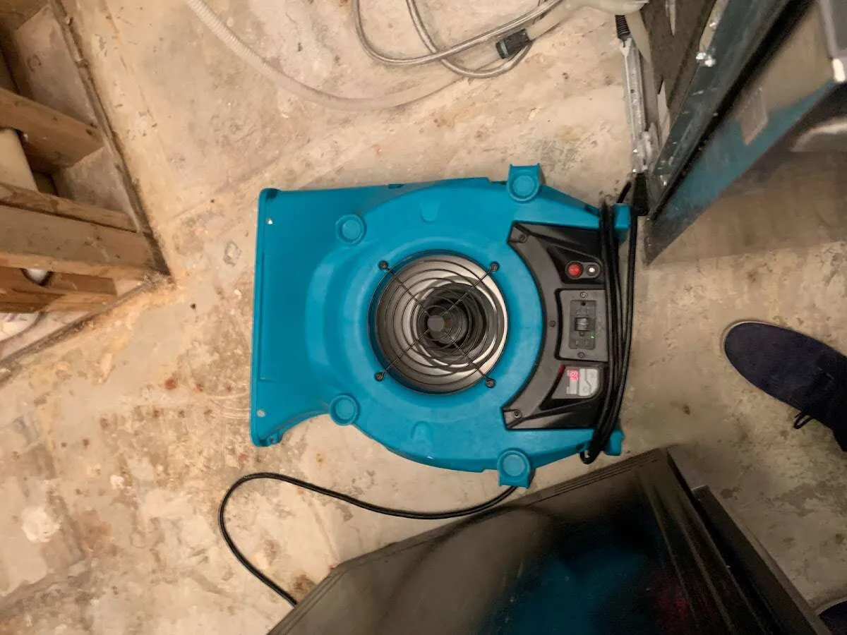 Air mover drying equipment for Mold Remediation & Removal in Roswell